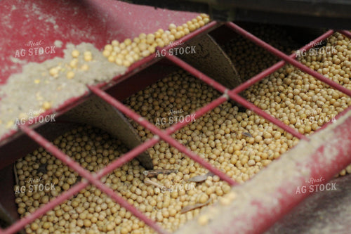 Auger with Soybeans 52058