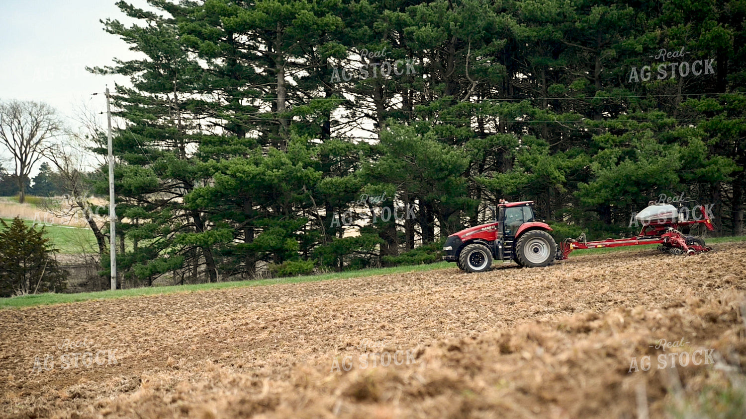Planting into Tilled Cover Crops 25160
