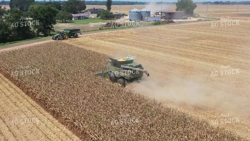 Corn Harvest 79449