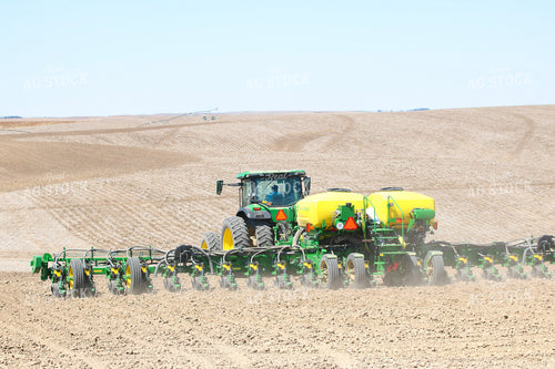 Planting 82432
