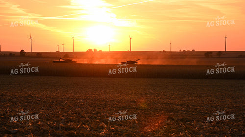 Two Combines Harvesting Corn at Sunset 25785