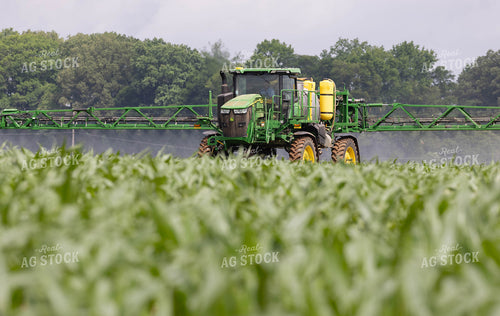 Spraying 79653