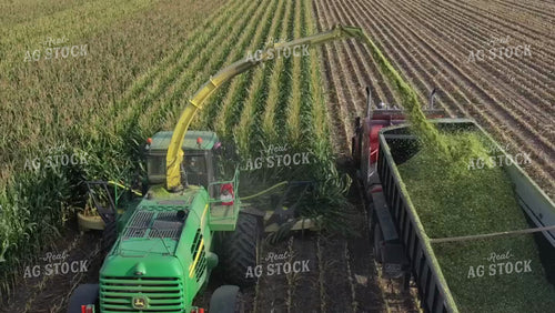 Chopping Corn Silage Drone 56323