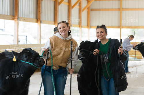 Smiling with Show Cattle 52826