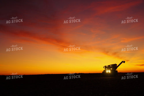 Harvest Sunset 65611