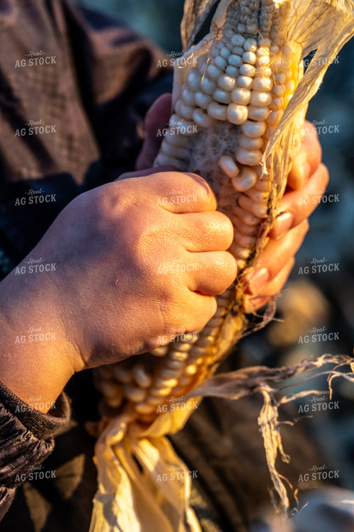 Farm Kid Holding Ear of Corn 65114