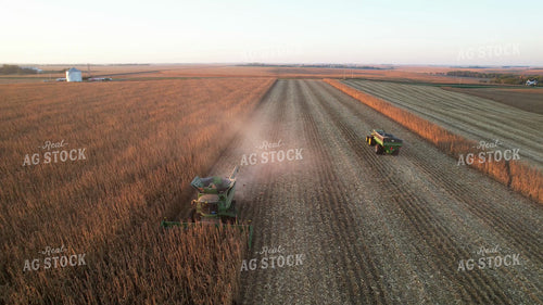 Corn Harvest 65461