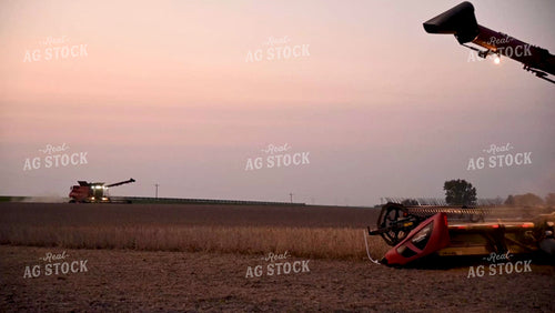 Two Combines Harvesting Soybeans at Sunset - 536