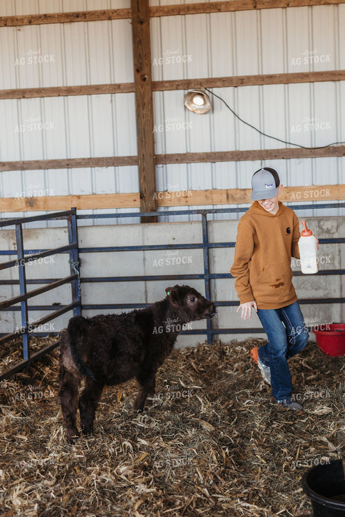 Farm Kid Bottle Feeding Calf 174043
