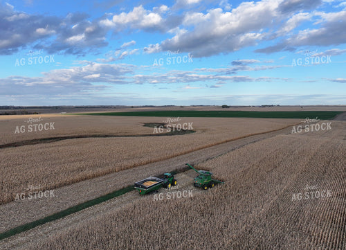 Corn Harvest 141493