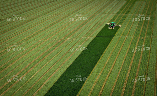 Cutting Alfalfa Hay 56027