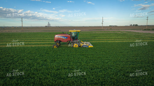 Cutting Alfalfa Hay Drone 56334