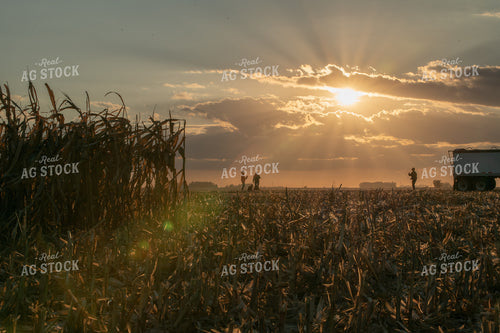 Farm Family in Field 76516