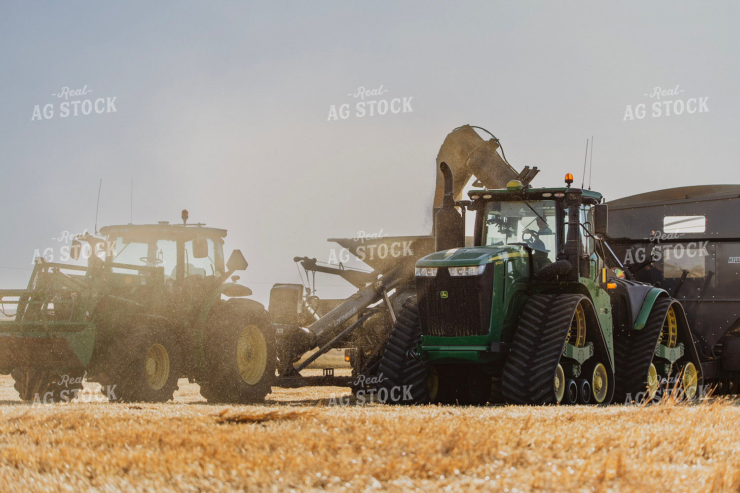 Wheat Harvest 187293