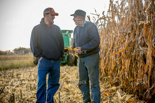 Farmers Checking Ears in Corn Field 250086