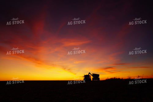 Harvest Sunset 65610
