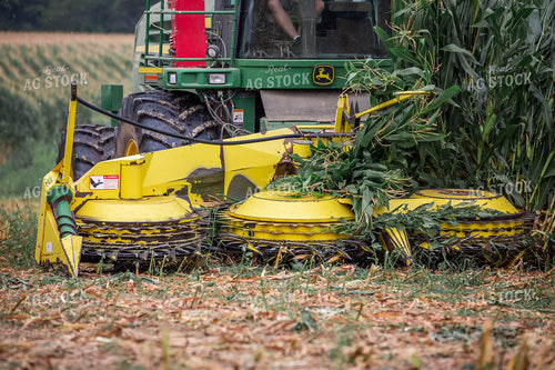 Cutting Corn Silage 270617