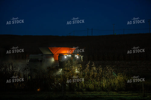 Corn Harvest 270637