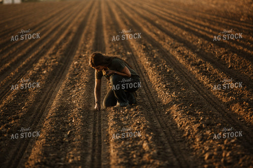 Planting 2832