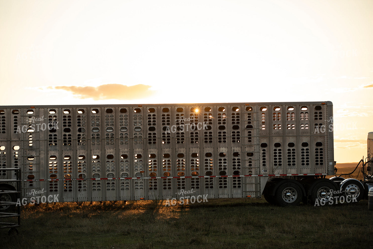 Livestock Trailer 285092