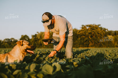 Farmer in Soybean Field with Tablet 6125