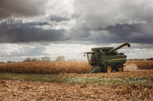 Combine Harvesting Corn with Stormy Sky 3344