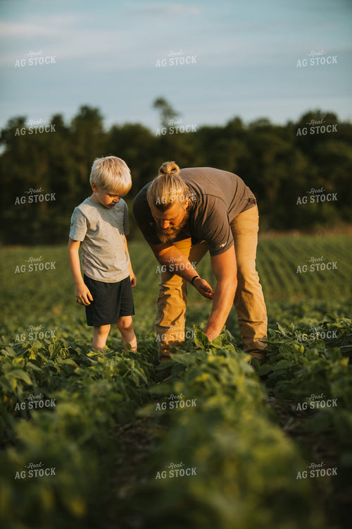 Farmer and Farm Kid in Soybean Field 6006