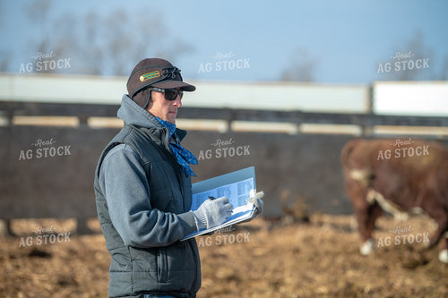 Rancher Checking Cattle 212173
