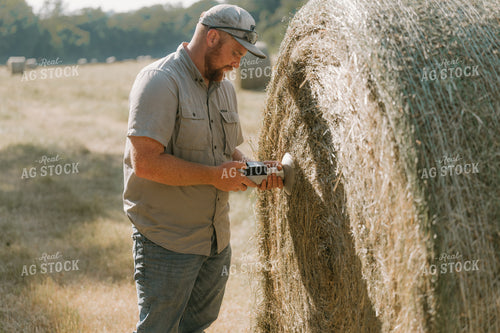 Farmer Checking Hay Moisture 125398