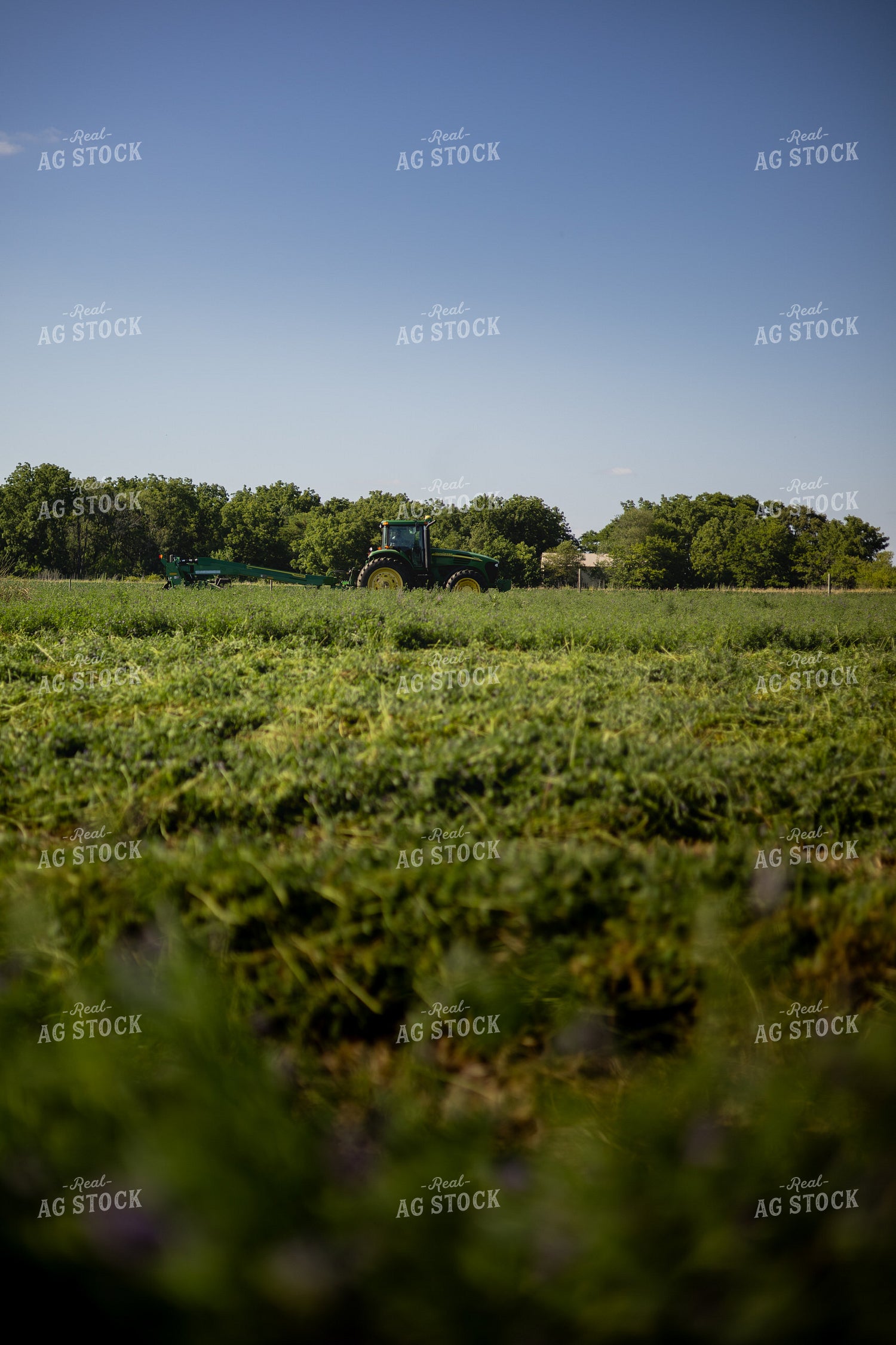 Mowing Hay 281013