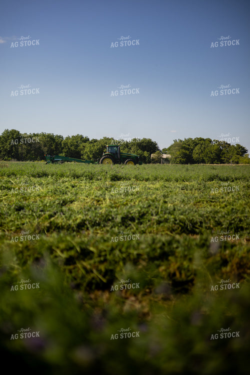Mowing Hay 281013