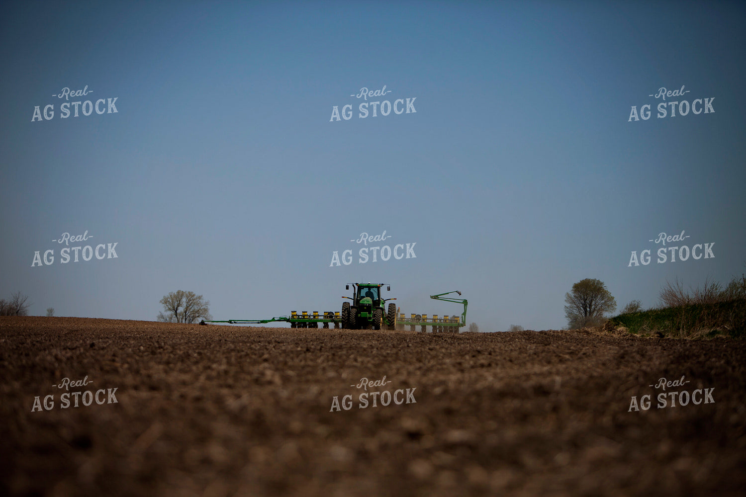 Planting 1985