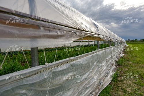 Greenhouse 129020