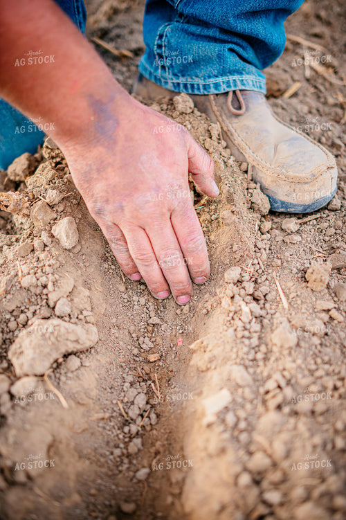Farmer Checks Seed Depth Behind Planter 56651