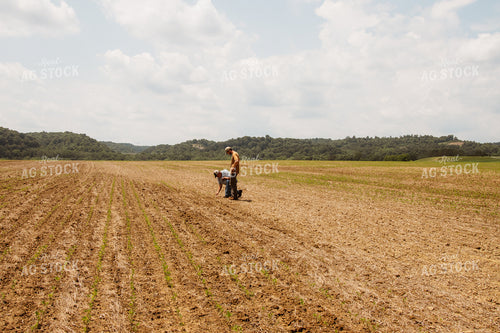 Farmers in Soybean Field 52222