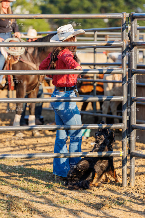 Rodeo 295142