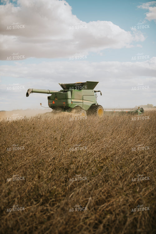 Soybean Harvest 6912