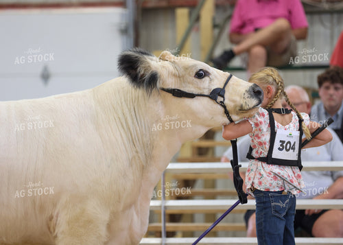 Showing Cattle 160109