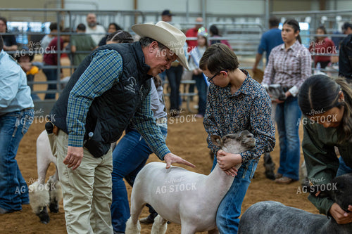 Showing Goats  98053