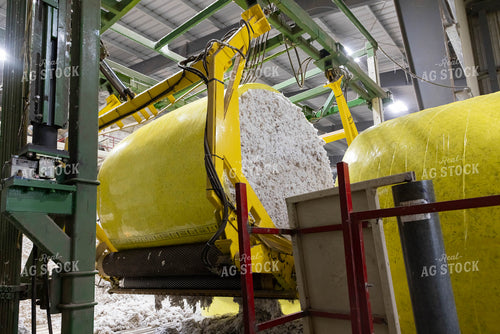 Cotton Processing Plant 79537