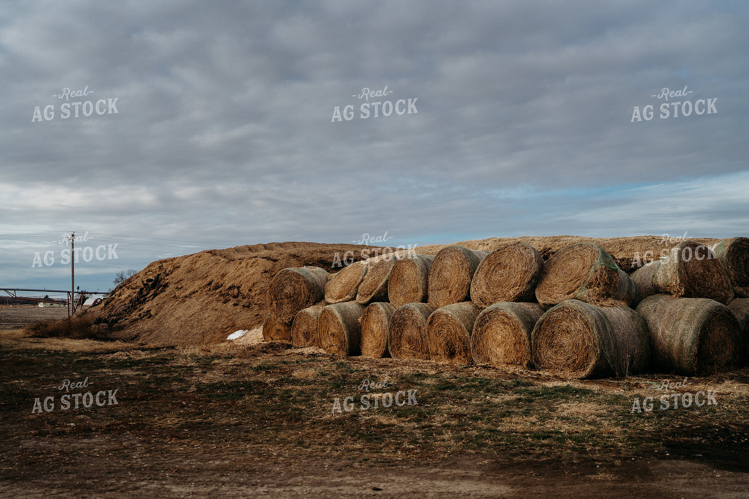 Uncovered Silage Pile 196187