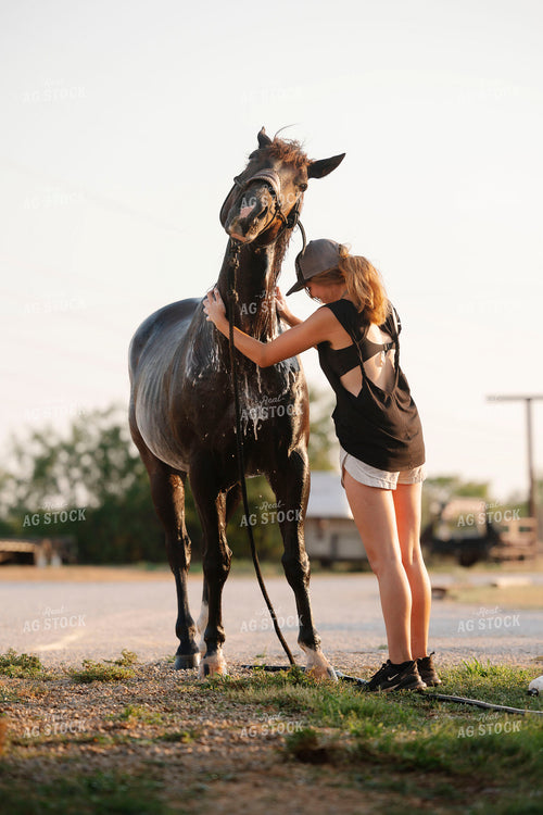 Washing Horse 205103