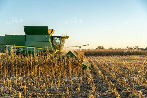 Corn Harvest 65542