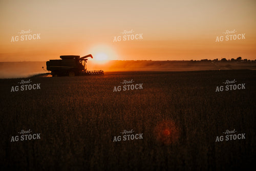 Harvest 2607