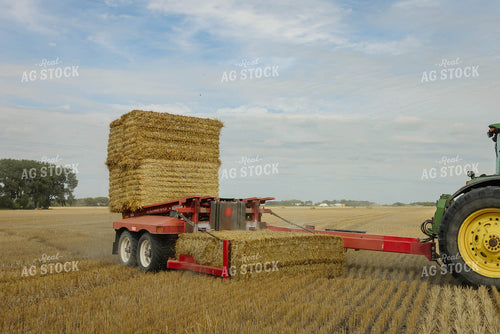 Loading Wheat Straw Bales 296069