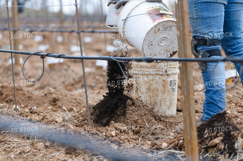 Vineyard Grape Production 107032
