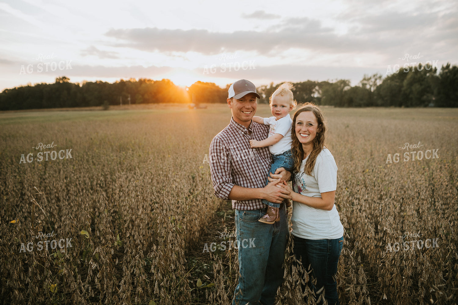 Farm Family Standing in Dried Soybean Field at Sunset 4887