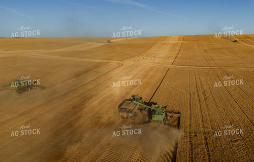 Wheat Harvest 187315