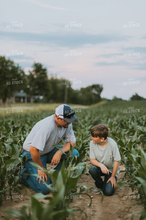 Farmer and Son Scouting Corn Field 7831
