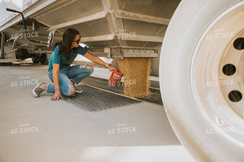 Female Farmer Collecting Grain Sample 7043